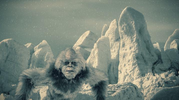 Pic of Yeti