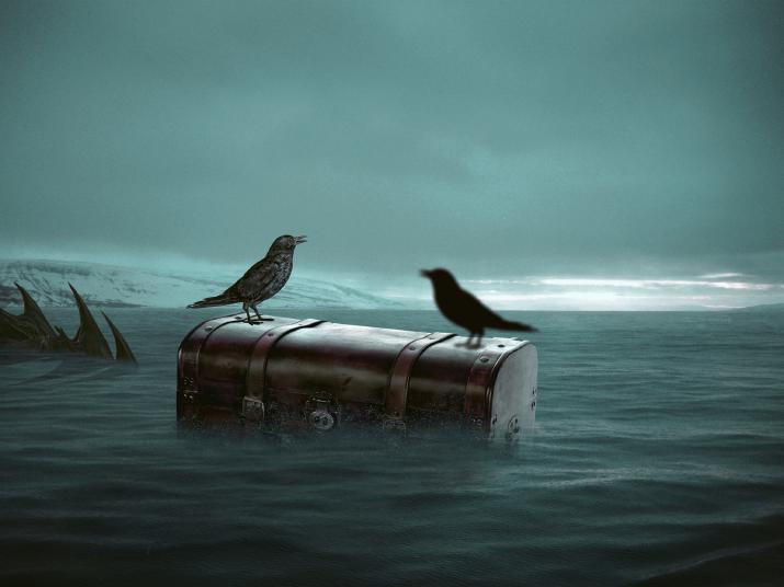 A picture of two crows sitting atop an old-fashioned suitcase that is floating in choppy water.