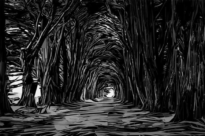 An ominious black-and-white inked illustration of a path shrouded with trees.