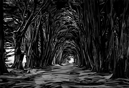 An ominious black-and-white inked illustration of a path shrouded with trees.