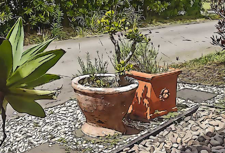 A picture of a terracotta pot