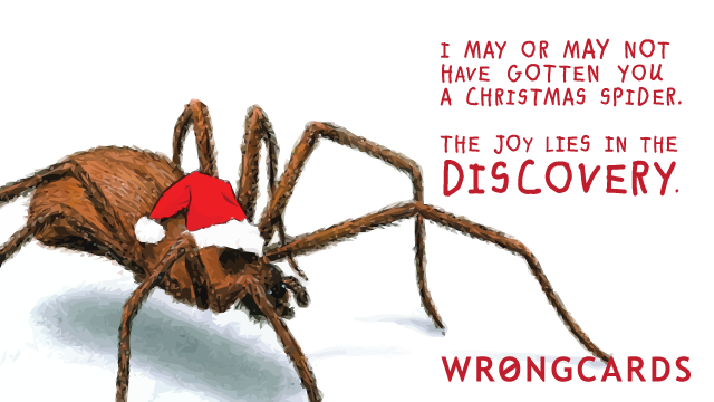 People say they want a Christmas surprise, but here’s the thing: DO THEY? DO THEY REALLY? I’m not angry but what is the point of you saying, ‘I want it to be a surprise’ if you’re going to run around shrieking for an hour and then go stay at your Mother’s until Thursday? And no it’s not because I don’t understand Christmas, I have an entire WEBSITE about it so technically I’m an expert so there.