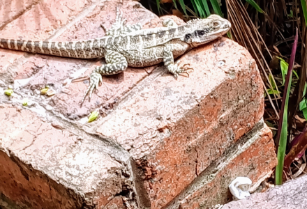 Cover image for Kris St.Gabriel | Author, Creativity Expert & Part-Time Rapscallion